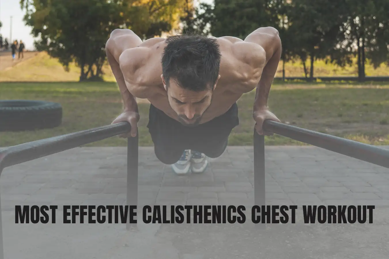 Most Effective Calisthenics Chest Workout